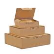 Pressel Postkarton, 349x247x46mm, Braun, 25 Stück Artikelbild